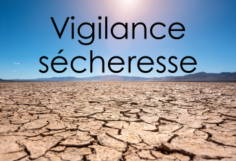 Alerte sécheresse